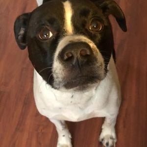 Meet your Posher, Colin